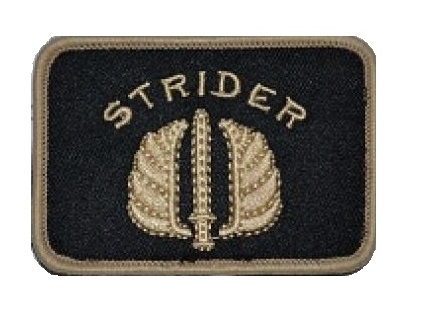 STRIDER Moral patch