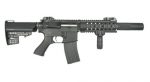 Custom DPMS 7" With Silencer  		 - Image 2