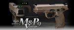 M&P9 V Custom