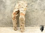 TMC CP Gen2 style Tactical Pants with Pad set (AOR1)