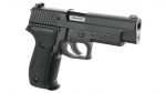 SIG SAUER P226 RAIL - Image 3